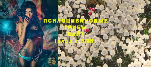 таблы Переславль-Залесский