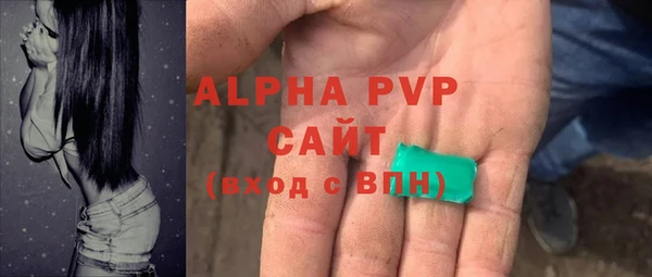 бошки Пересвет