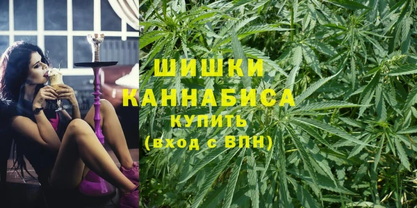бошки Пересвет