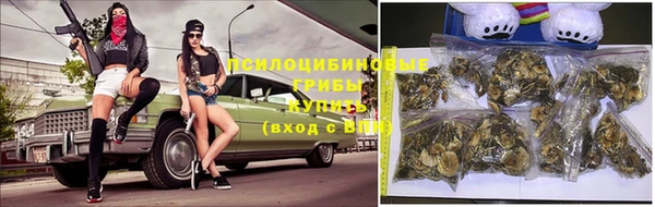 jwh Пестово