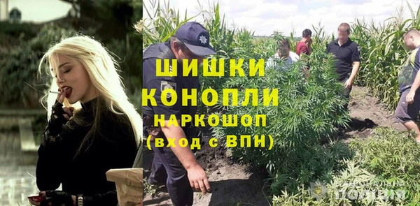 бошки Пересвет