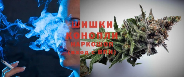 соль ск Осинники